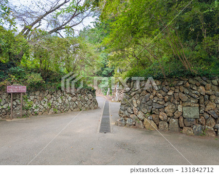 栃木縣佐野市藤町唐澤山城跡：錯落有致的城門 131842712