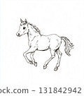 Black ink sketch of a cute hand-drawn horse, pony in western rodeo style. Isolated on white. 131842942