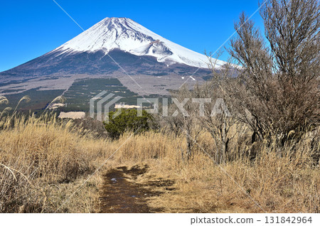 從相鷹山脈的越前山眺望茅戶的登山路線和富士山 從相鷹山脈的越前山眺望茅戶的登山路線和富士山 131842964