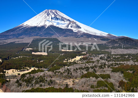 從十里木高原瞭望台眺望相鷹山脈的越前岳、富士山和寶永火山口 從十里木高原瞭望台眺望相鷹山脈的越前岳、富士山和寶永火山口 131842966