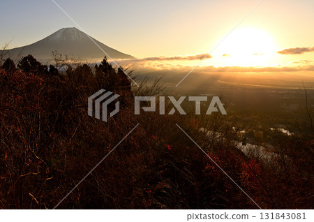 天子山長者岳的清晨：富士山與旭日 131843081