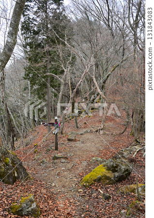 Chojagatake in the Tenshi Mountains, Tokai Nature Trail, Kamisano Junction Chojagatake in the Tenshi Mountains, Tokai Nature Trail, Kamisano Junction 131843083