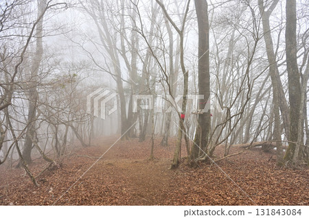 天子山、天子岳、雲霧峰 天子山、天子岳、雲霧峰 131843084