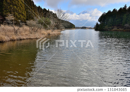 Mount Fuji in winter as seen from Lake Tanuki, Fujinomiya City, Shizuoka Prefecture 131843085