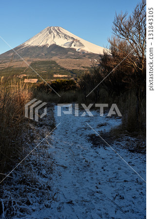 Mount Fuji in the morning as seen from the snowy trail leading up to Mount Echizen in the Ashitaka Mountains Mount Fuji in the morning as seen from the snowy trail leading up to Mount Echizen in the Ashitaka Mountains 131843105