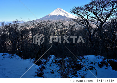 相鷹山脈的越前山:從白雪皚皚的平地上眺望富士山 相鷹山脈的越前山:從白雪皚皚的平地上眺望富士山 131843116
