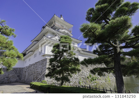 View of Toyama Castle and Castle Ruins Park: The white-walled castle tower stands out against the blue sky 131843250