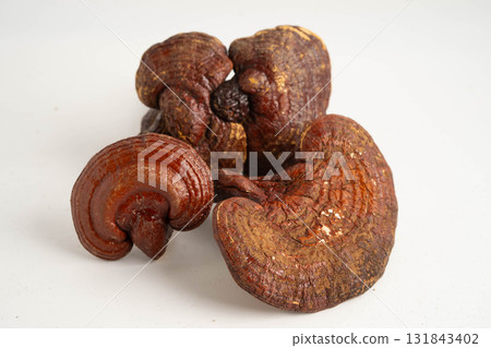 Lingzhi or Reishi mushroom with capsules, organic natural healthy food. 131843402