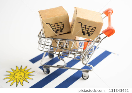 Online shopping, Shopping cart box on Uruguay flag, import export, finance commerce. Online shopping, Shopping cart box on Uruguay flag, import export, finance commerce. 131843431
