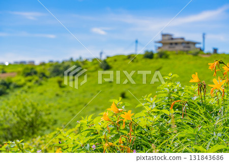 [群馬縣] 野反湖 - 湖畔的萱草 131843686