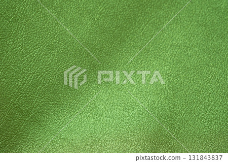 Image of green metallic leather material 131843837