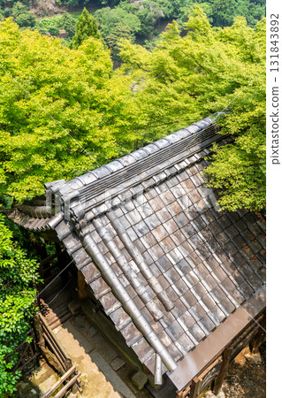 京都嵐山大斐閣千光寺,從觀音堂眺望鐘樓的瓦片屋頂和綠色的楓樹 京都嵐山大斐閣千光寺,從觀音堂眺望鐘樓的瓦片屋頂和綠色的楓樹 131843892