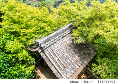京都嵐山大斐閣千光寺，從觀音堂眺望鐘樓的瓦片屋頂和綠色的楓樹 131843893