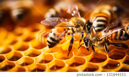 photo of a bee hive on a honeycomb with copyspace. 131844551