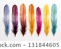 Colorful feathers on isolated on white background 131844605