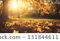 Colorful foliage in the park. Falling leaves natural background .Autumn season concept. Abstract autumn background 131844611