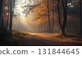 Colorful foliage in the park. Falling leaves natural background .Autumn season concept. Abstract autumn background 131844645