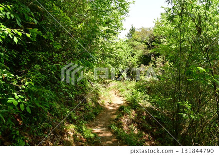 Kagamiyama Castle 66 Hiking Trail Kagamiyama Castle 66 Hiking Trail 131844790