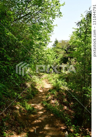Kagamiyama Castle 65 Hiking Trail 131844791