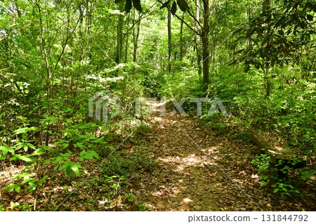 Kagamiyama Castle 64 Hiking Trail Kagamiyama Castle 64 Hiking Trail 131844792