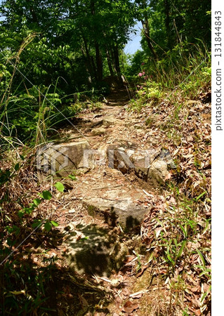Kagamiyama Castle 14 Stone steps to the 2nd enclosure 131844843