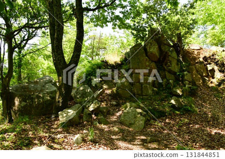 Kagamiyama Castle 06 Stone wall of the 1st bailey 131844851