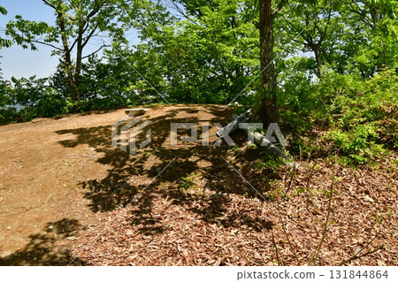 Kagamiyama Castle 40 1st Block 131844864