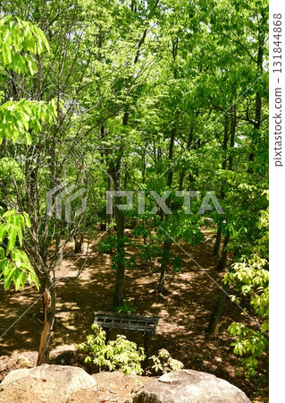Kagamiyama Castle 36: View of the 2nd enclosure from the 1st enclosure 131844868