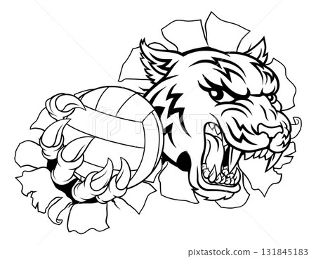 Tiger Volleyball Volley Ball Animal Sports Mascot Tiger Volleyball Volley Ball Animal Sports Mascot 131845183