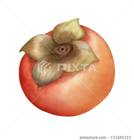 Watercolor illustration of a persimmon fruit  131845215