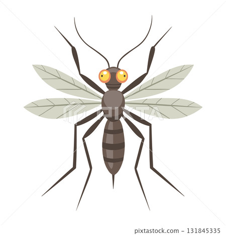 Detailed mosquito on a white background. Insect illustration. Detailed mosquito on a white background. Insect illustration. 131845335