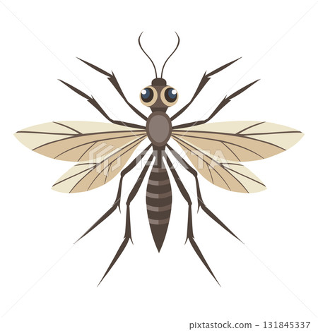 Detailed mosquito on a white background. Insect illustration. 131845337