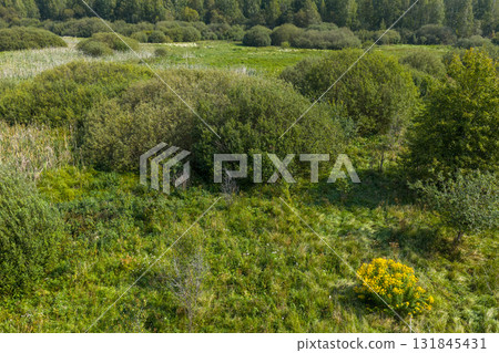 Partly abandoned meadows in autumn 131845431