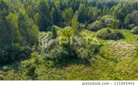 Partly abandoned meadows in autumn 131845442