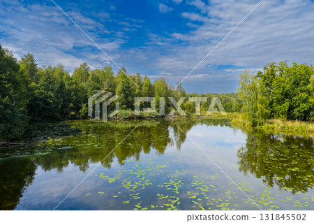 Drone view of Paprocanskie Lake near Tychy Drone view of Paprocanskie Lake near Tychy 131845502