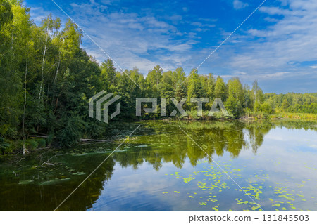 Drone view of Paprocanskie Lake near Tychy Drone view of Paprocanskie Lake near Tychy 131845503