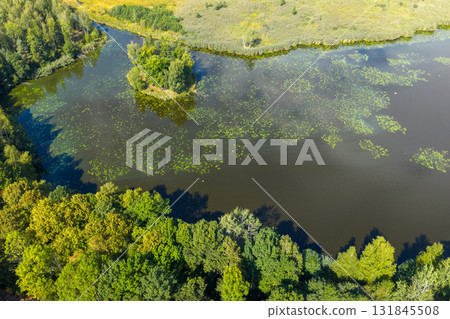 Drone view of Paprocanskie Lake near Tychy 131845508