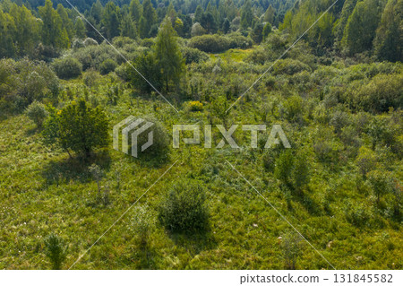 Partly abandoned meadows in autumn 131845582