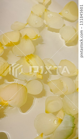 Delicate yellow rose petals floating on water with glistening droplets, suggesting spa and luxury 131845601