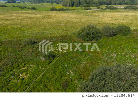 Partly abandoned meadows in autumn 131845614