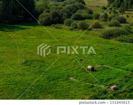 Partly abandoned meadows in autumn 131845615