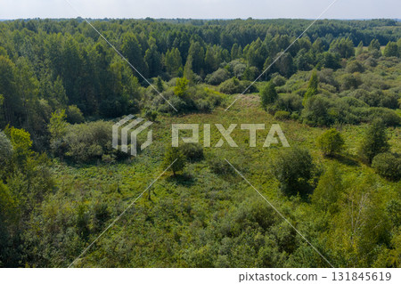 Partly abandoned meadows in autumn 131845619