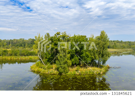 Drone view of Paprocanskie Lake near Tychy Drone view of Paprocanskie Lake near Tychy 131845621
