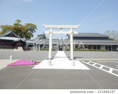 White torii gate in the grounds of Yaizu Shrine in Yaizu, Shizuoka Prefecture 131846187