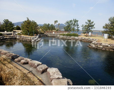 A tide pool surrounded by trees near the sea in Yaizu, Shizuoka Prefecture 131846193