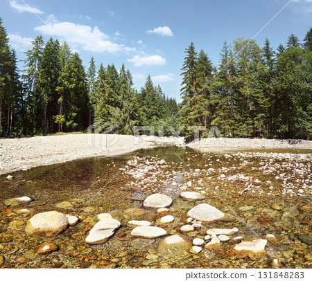 Shallow river flowing in forest, sun shines on round stones and trees at both sides 131848283