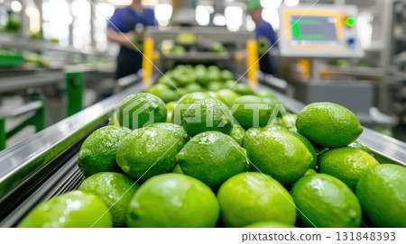 Automated fruit production line with fresh green limes in processing factory Automated fruit production line with fresh green limes in processing factory 131848393