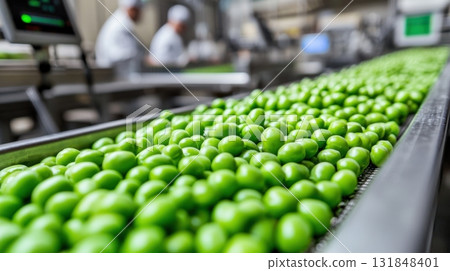 Fresh green peas on conveyor belt in modern food processing plant 131848401