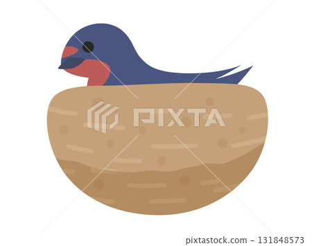 Illustration of a swallow warming its eggs in a nest Illustration of a swallow warming its eggs in a nest 131848573
