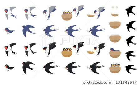 Swallow various poses and nest illustration set 131848687